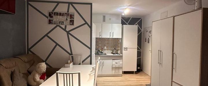 Möbelierte 1-Zimmer Wohnung / OF Waldstr. / 5min zur Innenstadt - Foto 1