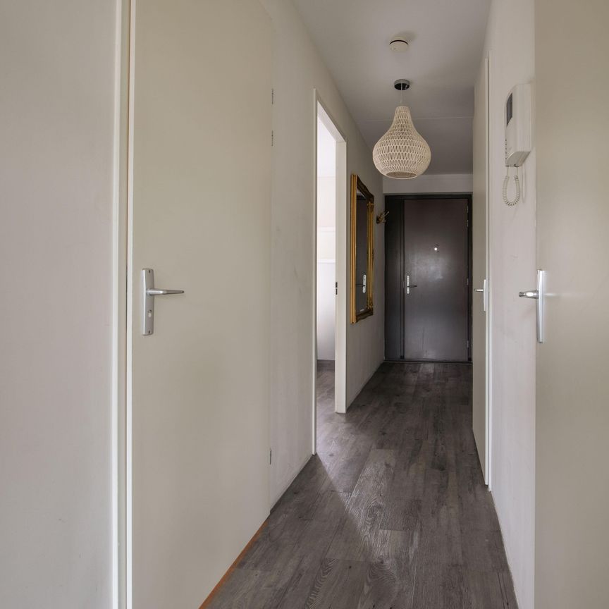 Te huur: Appartement Van Kinsbergenstraat in Amsterdam - Foto 1