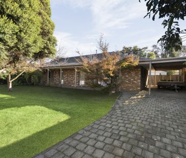 6 Month Lease! - Photo 4