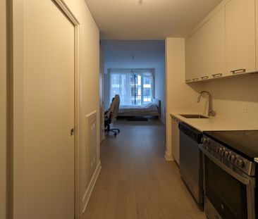 1400 Rue Ottawa Montréal (Le Sud-Ouest), QC H3C - Photo 5