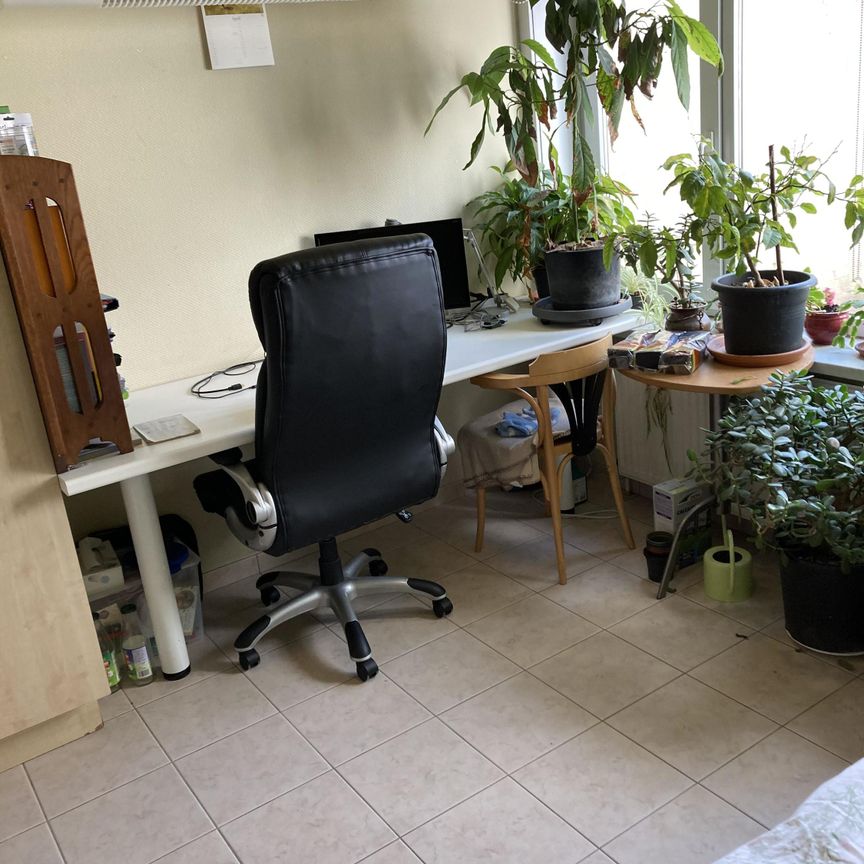 Studio 2 - Sint-Pie­ter­saalst­straat 98 - Photo 1