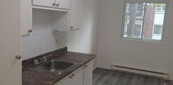 41/2 à louer à St-Jerome - Photo 2