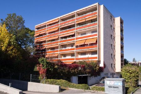 Appartement de 1 pièce au rez-de-chaussée - Photo 2