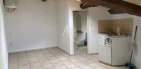Location Appartement 1 pièce 14m² - Photo 2