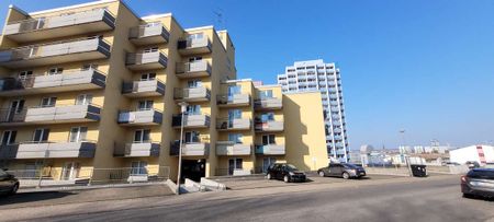 1-Zimmer-Wohnung mit kleiner Terrasse in direkter Nähe zur Uni - Photo 3