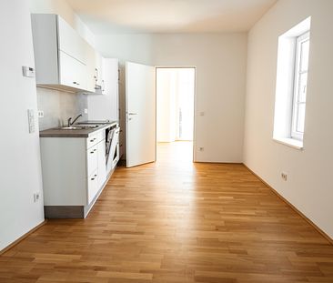 * WG-taugliche 3-Zimmer-Wohnung mit Küche in der Altstadt von Wels --> Gratis-Übersiedlungsmonat * - Foto 1