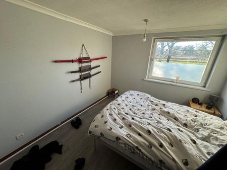 3 bedroom terraced house to rent - Photo 3