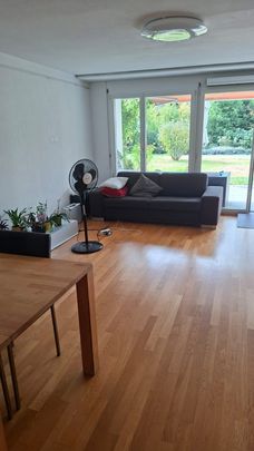 2.5 Zimmer, 65 m², EG - Foto 1