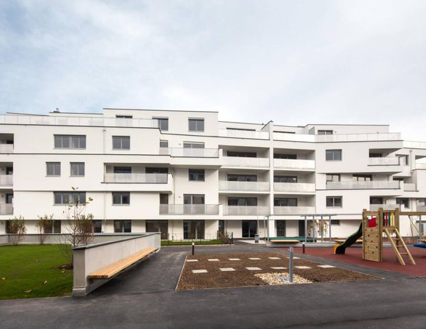 Familienwohnung - Foto 1