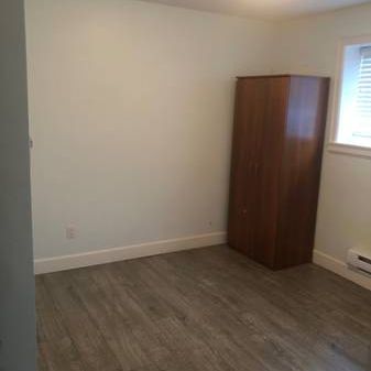 2 Bedroom basement suite— available now! - Photo 4