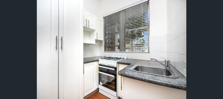3/358 Victoria Road, Marrickville NSW 2204 - Studio For Rent | Domain - Photo 3