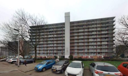 Appartement de 5 pièces Anne Franklaan, Purmerend - À Louer - Photo 3