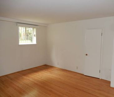 Studio Suite West of Denman - Photo 3