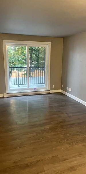 Magnifique 3½ - Photo 1