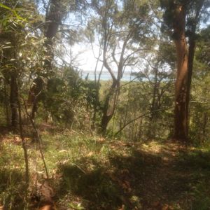 Coochiemudlo Island - Photo 2