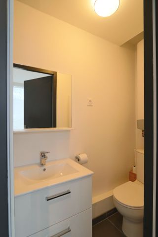 Location Appartement 1 pièce 18m² ST MARTIN D HERES 38400 - Photo 4