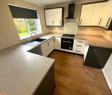 Springfield Avenue, Preston - Photo 6