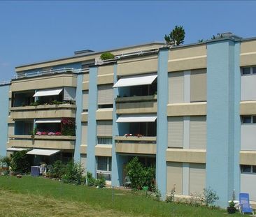 "Ideal für Jung und Alt" - Photo 6