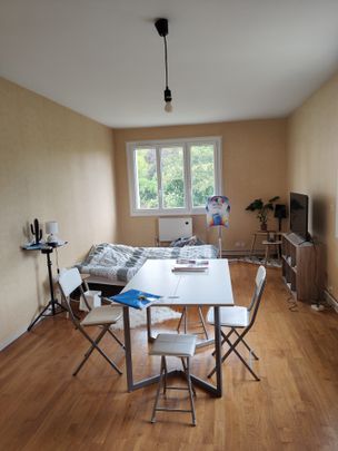 Location Appartement 1 pièce 37m² TALANT 21240 - Photo 1