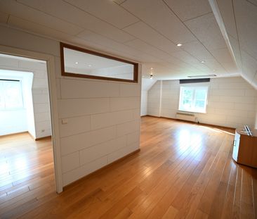 ALLEENSTAANDE & ZEER RUIME (246m²) villa - Photo 3