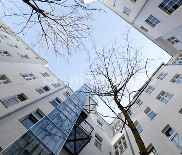 Berlin Living - Photo 3