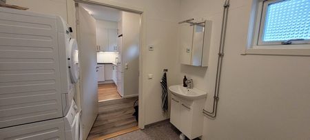 Lövgränd, Skellefteå - Foto 4