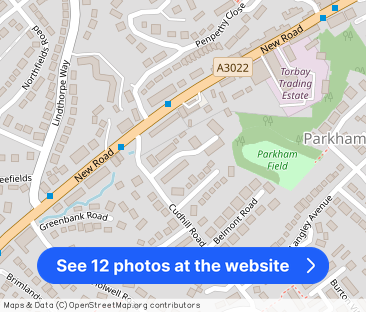 Brookdale Close, Central Area, Brixham - Photo 1