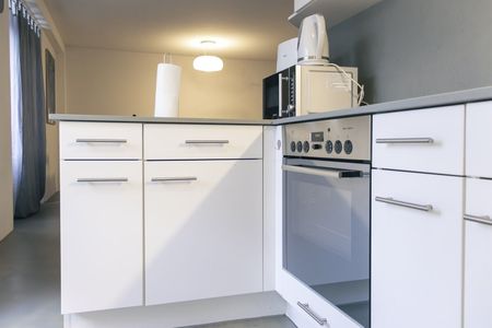 Modern furnished 3.5-room apartment in Zürich Altstetten (near Zürich-Binz) - Photo 5