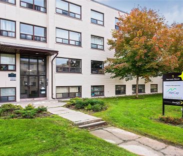 Golden Mile Apartments - Photo 6
