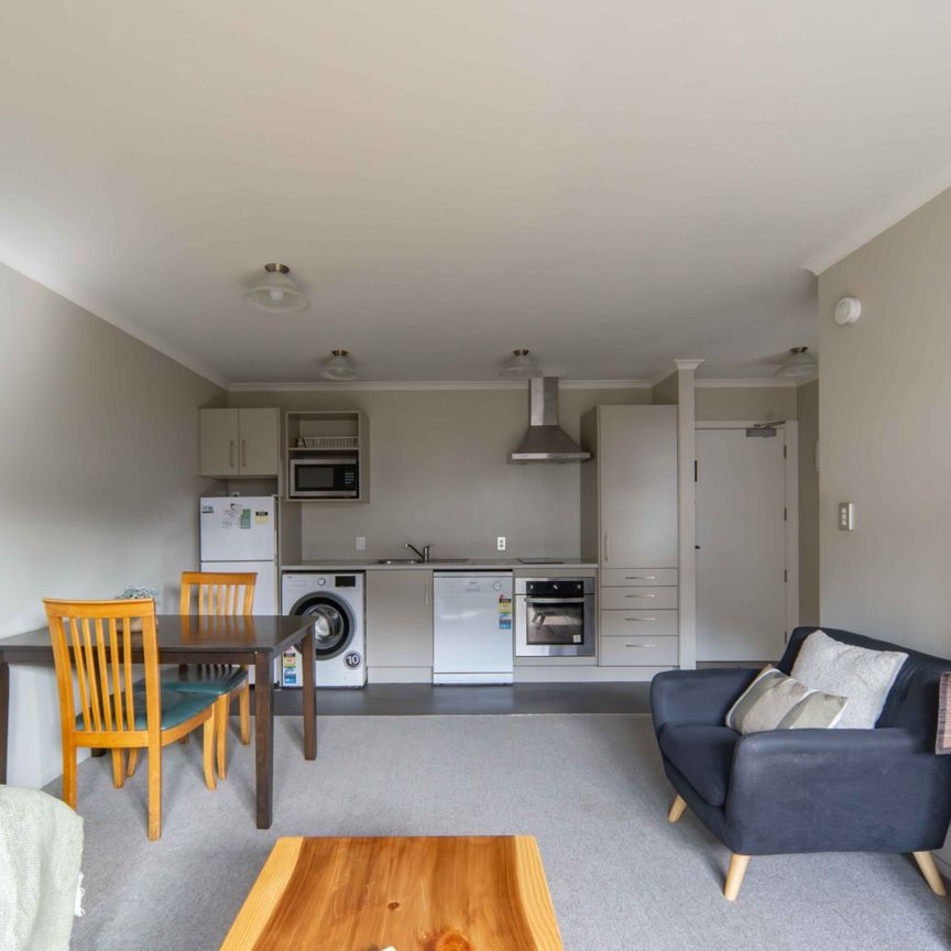 Furnished One Bedroom Apartment - Photo 1