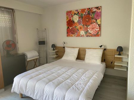 Location Appartement 1 pièce Meublé 24m² DAX 40100 - Photo 3