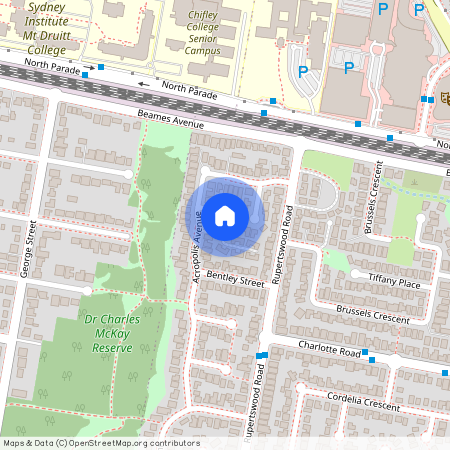 8 Theodore Place, Rooty Hill NSW 2766