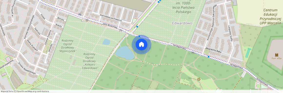 Marcelin, Grunwald, Poznań, wielkopolskie