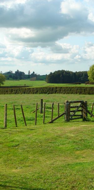 Country Cottage Close To Town - Photo 1