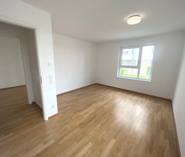 Hochwertige Wohnung mit Terrasse, Wellness im Haus, nähe Rhein! - Foto 1