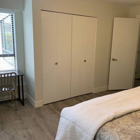 Ground Level Fully Furnished & Fully Renovated 1 BDRM 43rd & Main - Photo 4