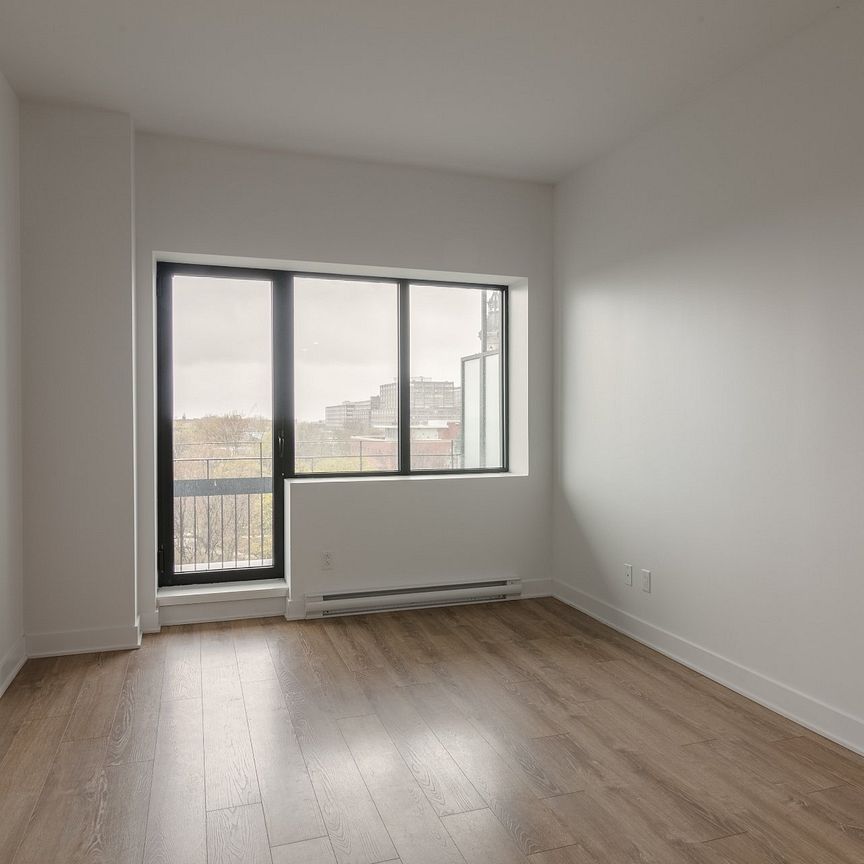 Condo for rent, Montréal (Le Plateau-Mont-Royal) - Photo 1