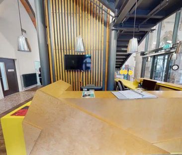 Extra Large High Double Studio - Photo 5