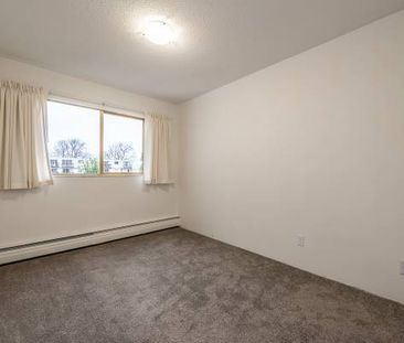 Seaport Apartments - 2 Bedroom - Available Now - Photo 2