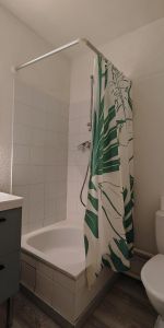 Location Appartement 1 pièce 19m² STRASBOURG 67000 - Photo 4