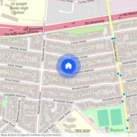 38 MacKinnon Ave, NSW 2211, Padstow