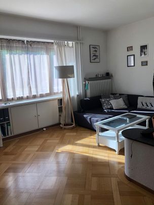 2 Zimmer, 60 m², EG - Foto 1