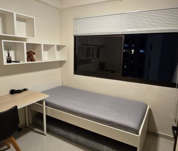 Compassvale Walk (Sengkang) - For Rent - Photo 5