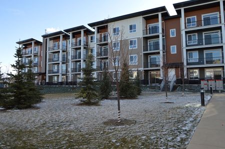 212 - 35 Walgrove Walk Southeast, Calgary - Photo 5