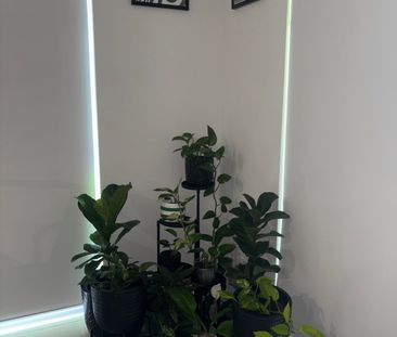 Bennett Springs - Photo 2