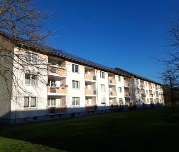 Stegemannsweg 52, 45897 Gelsenkirchen - Foto 1