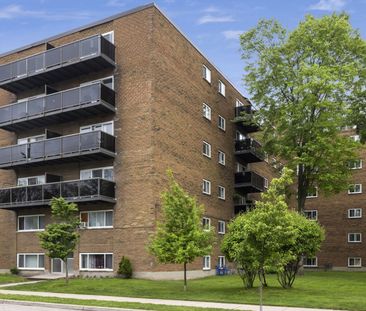 435 Grey Street - Photo 2