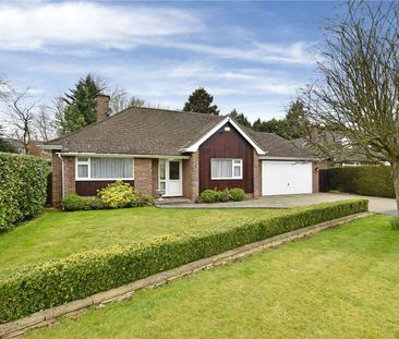 A spacious and well presented 3 bedroom detached bungalow in a popu... - Photo 6