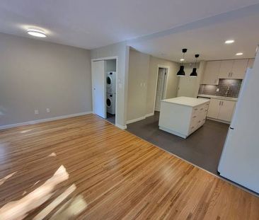 Renovated, Large Cat Friendly Studio With In-Suite Laundry - Photo 1