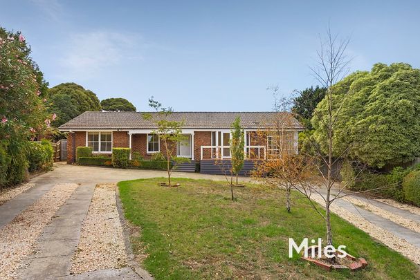 6 Simon Court, Rosanna - Photo 1